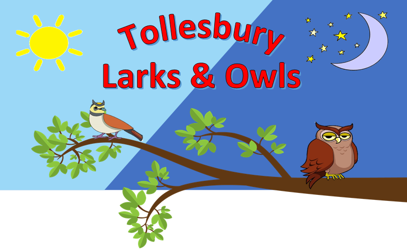 Larks and owls club logo a lark and an owl sitting on a branch.